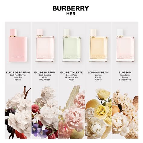 what does burberry her smell like|Burberry Her elixir travel size.